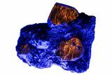 Fluorescent Zircon Crystals in Biotite Schist and Magnetite - Norway #228206-4